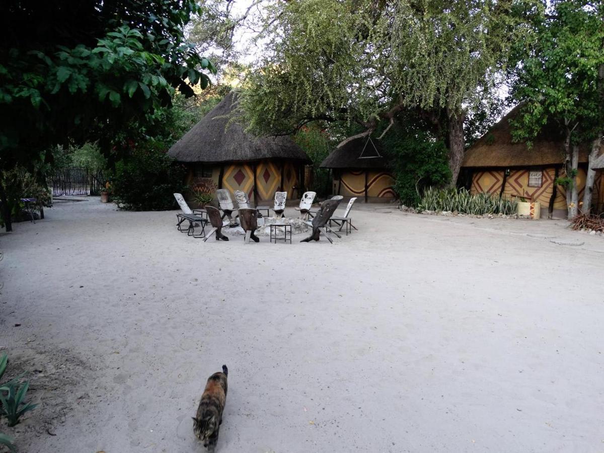 Discovery Bed And Breakfast Maun Buitenkant foto